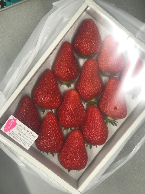 モンチッチ ストロベリー&ハート 苺 いちご イチゴ 激レア 希少
